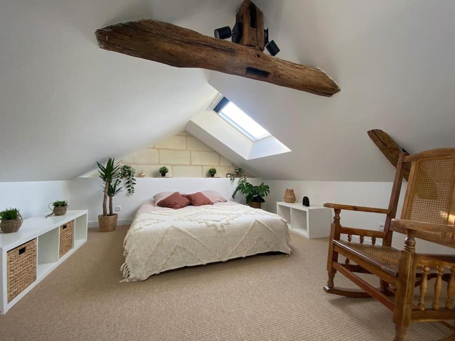 Duplex Cinema - Centre Historique Tours Apartment ภายนอก รูปภาพ