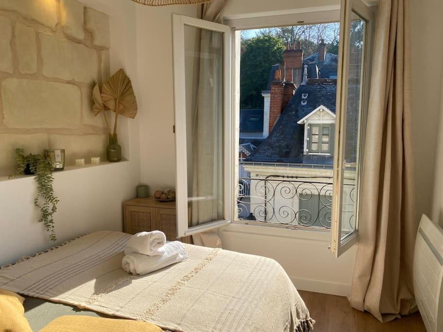 Duplex Cinema - Centre Historique Tours Apartment ภายนอก รูปภาพ